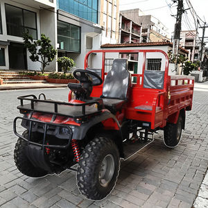 Летняя распродажа: Высококачественный большой грузовой трицикл-багги для доставки грузов - Product Image 2