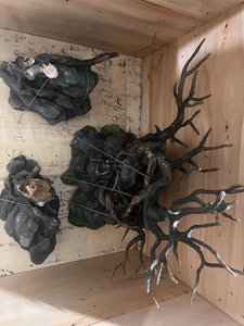 Decoratief Koraalrif Koraal Decoratief Koraal Te Koop - Product Image 6