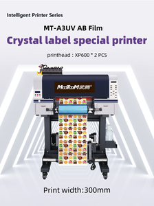 UV Dtf <b>Printing</b> <b>Machine</b> Two Xp600 Heads White Varnish 8 Colors PET AB Film 60cm 30cm DTF - Product Image 3