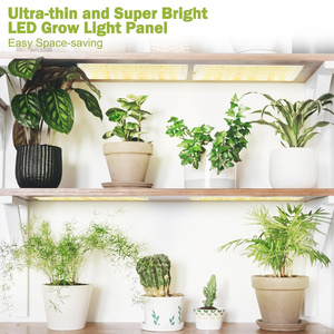 Lámpara LED de Espectro Completo para Cultivo, 1-4 Cabezales, Enchufe Estadounidense, Regulable, para Suculentas, Cactus, Bonsáis, Invernadero, Interior, con Temporizador - Product Image 4