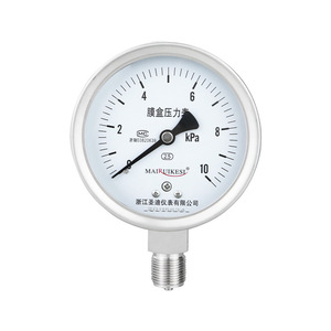 เกจวัดแรงดันไดอะแฟรมสแตนเลส 304 รุ่น YE100BF แบบด้าน  พร้อมไดอะแฟรมเชื่อมต่อแบบเกลียว ทนทานต่อการสั่นสะเทือน - Product Image 4