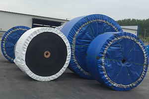 Bande transporteuse en caoutchouc ignifuge et résistant à l'abrasion, bande transporteuse industrielle en tissu caoutchouc Ee <span class=keywords><strong>Ep</strong></span> - Product Image 6