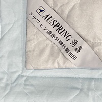 2024 NUEVA LLEGADA Logotipo personalizado Manta Ultra Cooling Edredones de grafeno para cama