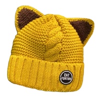 Otoño Invierno Ins Orejas de gato Sombrero de punto Dibujos animados Cálido Oreja de gato al vapor en forma de viaje Elegante sombrero inspirado en Ins para el frío