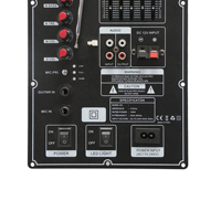 Panneau amplificateur audio multifonctionnel 12V avec réception audio sans fil, prise en charge AUX, USB, carte TF, FM, TWS, enregistrement et antenne télescopique