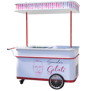 Aluminium Ice Cream Cart with <b>Freezer</b> and Motor Modern Design Cooking Equipment for Outdoor Use - Product Image 5