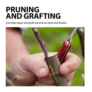 Pasta para Curar Heridas en Árboles, para Injertos y Podas, Protege a los Árboles de Plagas, Grietas y Podridones, Fórmula Natural de 100g - Product Image 6