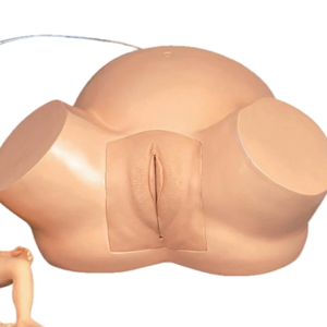 Ada y tế mô hình giảng dạy dystocia đào tạo mô phỏng và minh bạch <span class=keywords><strong>curettage</strong></span> PVC chất liệu cho giải phẫu giáo dục - Product Image 5