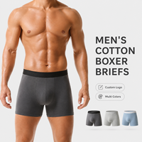 Caleçons longs respirants et légers en coton et élasthanne, lot de 5, vente en gros d'usine, boxers pour hommes pour l'été et le quotidien
