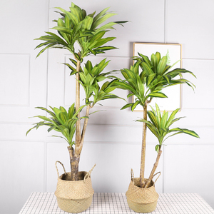 QiHao - Árbol Artificial de Cycas Sagrada de 85-187 cm, Planta de Dracaena Fragrans para Decoración de Interiores - Product Image 1