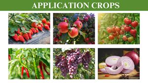 Il fertilizzante per fogliame Kenvos rende i fiori di frutta <span class=keywords><strong>e</strong></span> verdura più forti, N-P-K i liquidi ad alta P possono personalizzare - Product Image 5