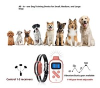 Collier de dressage pour chien étanche IPX7, rechargeable, avec vibrations et choc électrique, pour l'entraînement des animaux de compagnie, autonomie de 180 jours pour chiens