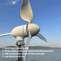 Éolienne à haute efficacité 1 kW 220 V certifiée CE, vitesse de démarrage personnalisée pour usage commercial