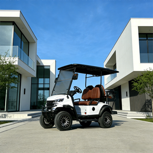 Voiturette de golf électrique, buggy de chasse, véhicule électrique, batterie au lithium, usage personnel/commercial pour routes non publiques - Product Image 1