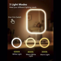 Miroir de maquillage rechargeable avec lampe de table, contrôle tactile et 3 modes d'éclairage, miroir de courtoisie pliable portable HD anti-traces de doigts, cadeau