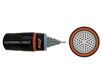 Cables de Potencia de Media Tensión MV 12kV 24kV 35kV NA2XS2Y NA2XS(F)2Y NA2XSH 1x35 1x400mm XLPE PVC Blindados Estándar IEC