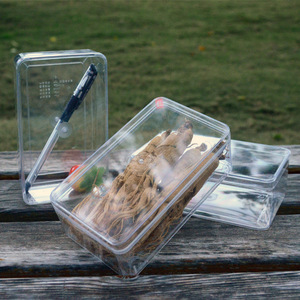 Boîte en plastique personnalisée ODM pour biscuits, boîte de présentation rectangulaire pour fraises, boîte en plastique transparente pour bonbons et aliments médicinaux - Product Image 2