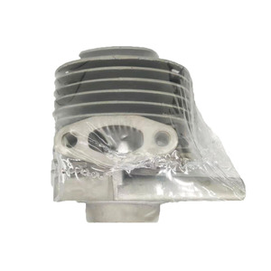Kit Cilindro Professionale per Decespugliatore C35, Accessori per Tagliaerba 36mm - Product Image 1
