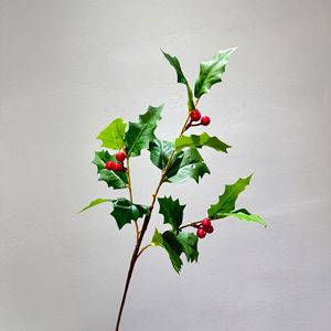 Nouvelle Conception Moderne <span class=keywords><strong>Plante</strong></span> Artificielle Végétale Écologique et Naturelle pour Décoration Intérieure et Extérieure, Richesse Hivernale Verte - Product Image 6
