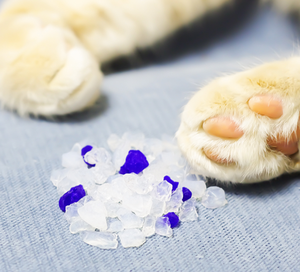 Fórmula sin polvo, envío en 48 horas, desodorización, producto popular y novedoso, arena de gel de sílice cristalina para gatos - Product Image 2