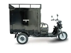 Triciclo De Carga Prijs Lading Vrachtwagen Tuktuk Benzine Lading Driewieler Motor Benzine Voor Volwassenen Gemotoriseerd