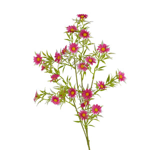 Flor de Margarita Artificial Dongchen Crafts, Tallo Individual de 30cm-100cm, Flor de Seda para Decoración de Bodas y Hogar - Product Image 5