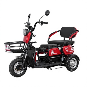 สกู๊ตเตอร์เคลื่อนที่สำหรับ<span class=keywords><strong>ผู้</strong></span><span class=keywords><strong>สูงอายุ</strong></span> รุ่น Old Man's Fun Cargo รับน้ำหนักได้ 200-300 กก. ความเร็ว 0-10 กม./ชม. ยานยนต์ไฟฟ้าสามล้อ กำลังไฟ 501-800 วัตต์ ระยะทางวิ่ง 30 กม. - Product Image 1