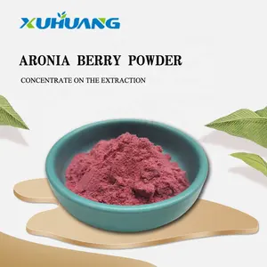 Free Shipping Best Selling Aronia Berry PowderBlack Chokeberry Powder