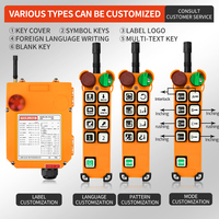 Télécommande radio sans fil double vitesse F24-8D pour grue, 36V/220V/380V/12V/24V, pour commande de palan de grue