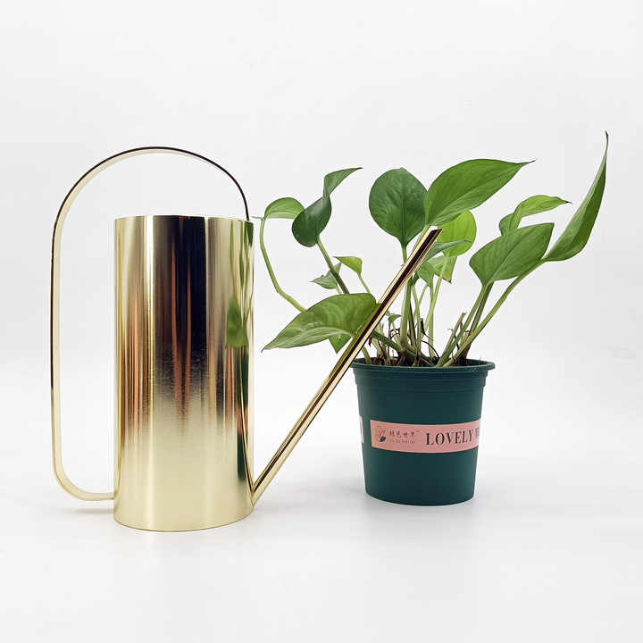 Modern Garden Tool 1.1L Cylinder Shape Watering Can for Outdoor Garden