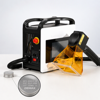 DEMAX Marqueur laser portable en acier inoxydable et aluminium pour la gravure sur métal, pour ligne de production, atelier, équipement de marquage