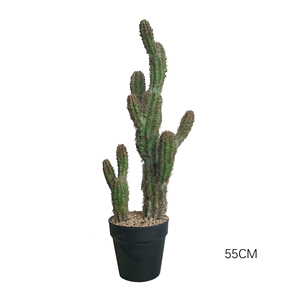Plante de cactus artificielle en plastique, décoration d'intérieur, cactus <span class=keywords><strong>pour</strong></span> décoration intérieure et extérieure, ornement de jardin, plantes artificielles, plantes factices - Product Image 2