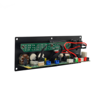 Mini Amplificateur Audio 5.0 26W, Carte d'Amplification Audio Professionnelle, Carte d'Amplificateur Audio Numérique