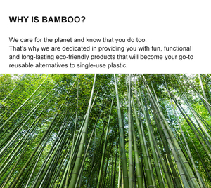 Cepillo de dientes de metal Premium con cabezal de cepillo PLA desmontable Cerdas suaves ecológicas plegables para uso doméstico - Product Image 3