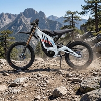 Bicicleta Eléctrica Todoterreno para Adultos Surron Light Bee X, 72V35Ah 10kW con Suspensión Completa, Disponible en Almacén en el Extranjero