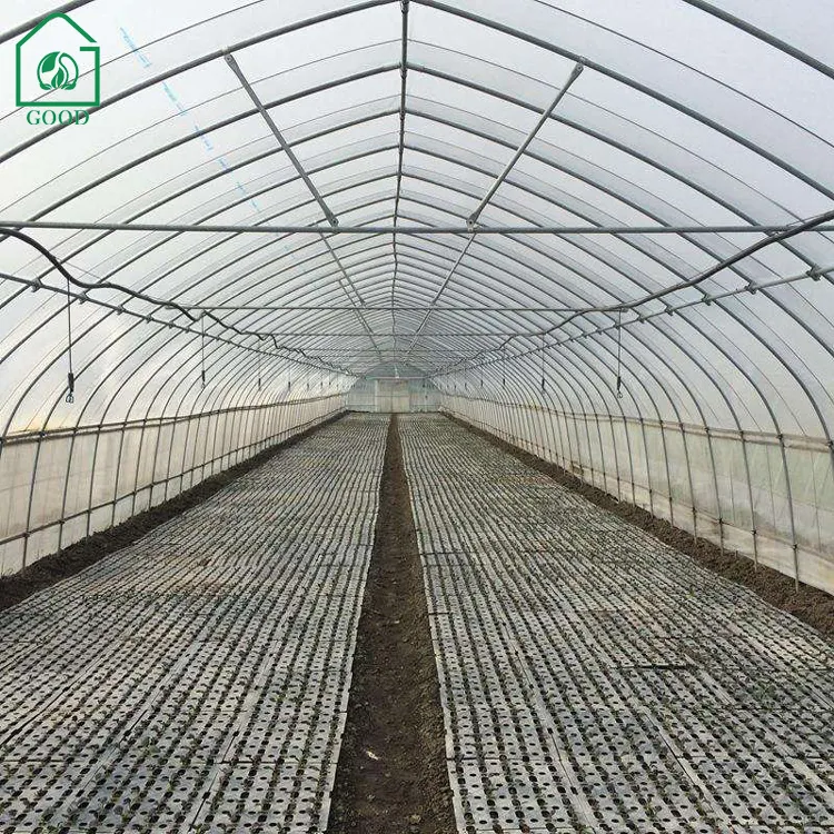 Serre agricole de grande taille à tunnel élevé à faible coût pour la culture de tomates légumes maison de ferme verte