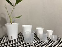 Ensemble de pots à fleurs de haute qualité de plusieurs tailles, en plastique, avec système d'auto-arrosage et pot intérieur transparent pour plantes