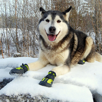 Bottes imperméables réglables avec logo personnalisé pour chien, petites, moyennes, grandes chaussures d'extérieur réfléchissantes, respirantes, durables et antidérapantes pour chien