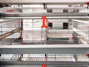 Clarge tavuk kümesi ve Run tavuk çiftlik yapı ucuz metalik tavuk Broiler <span class=keywords><strong>Coops</strong></span> evi - Product Image 4