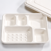 Assiettes compostables en bagasse à 2, 5 ou 6 compartiments, barquettes alimentaires jetables en fibre de canne à sucre avec couvercles, biodégradables pour fêtes, traiteur et pique-niques
