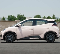 Offre Spéciale BYD 2025 Seagull Smart Driving Edition 305km Vitality Edition New Energy Vehicles Pure Electric