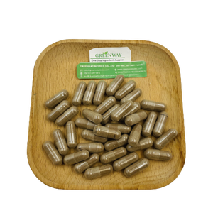 그린웨이 서플라이 OEM 보충제 <span class=keywords><strong>100</strong></span>% 천연 파도기아 아그레스티스 추출물 분말 250mg 500mg 파도기아 아그레스티스 캡슐 - Product Image 4