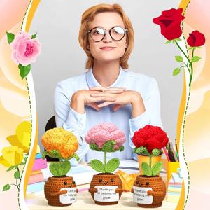 Venta al por mayor de muñecos de flores rosas de ganchillo con tarjeta Gracias por ayudarme a crecer regalos de maestro para cumpleaños decoración de oficina en casa hilo - Product Image 5