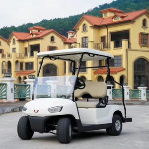 Wuling <span class=keywords><strong>2</strong></span> sièges 4kw Mini <span class=keywords><strong>Golf</strong></span> Buggy élégant plus rapide 48V batterie intelligent pas cher chariots de <span class=keywords><strong>Golf</strong></span> électriques pour terrain de <span class=keywords><strong>Golf</strong></span> Tianneng Simple - Product Image 2
