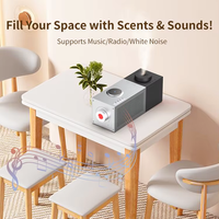 Diffuseur d'arômes d'huiles essentielles sans eau rechargeable 60 ml avec logo personnalisé OEM, machine à parfum portable de table avec haut-parleur