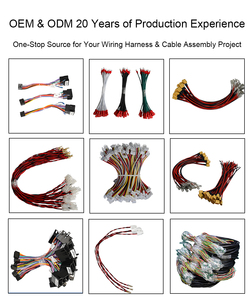 Perakitan Kabel Elektronik Kustom 2mm 2.54mm <span class=keywords><strong>3</strong></span>.96mm Pitch 2/<span class=keywords><strong>3</strong></span>/4/5/6 Pin Produsen Kabel Harness Kawat - Product Image 6