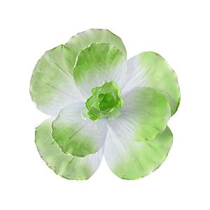 <span class=keywords><strong>Fleur</strong></span> artificielle pivoine en <span class=keywords><strong>lin</strong></span> dégradé, décoration <span class=keywords><strong>du</strong></span> Nouvel An chinois, support de présentation, marque Leader, style classique fait main, tendance - Product Image 6