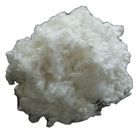 Acolchado de fibra cortada de poliéster de silicio conjugado hueco 3D 7D 15D para material de relleno