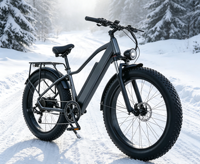 Vente en gros depuis l'entrepôt européen, livraison directe, moto électrique tout-terrain à pneus larges de 26 pouces avec batterie au lithium - BE057