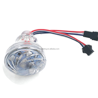 Ampoules de fête foraine RVB couleur intégrale UCS1903 12V 24V pour l'éclairage des manèges et carrousels